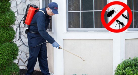 Mazıdağı Haşere İlaçlama böcek ilaçlama ve haşere kontrolü — ilaclama-tr.com
